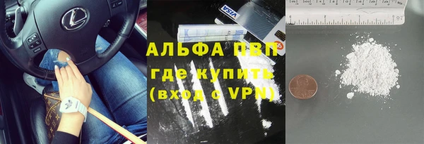 гидра Пересвет