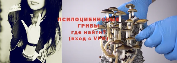 прущая мука Пестово