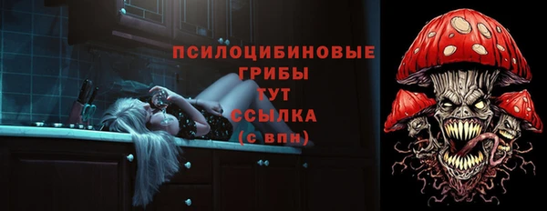 гидра Пересвет