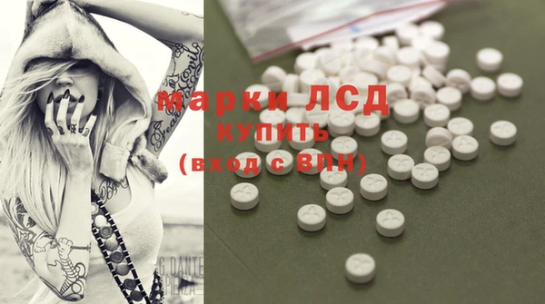 гидра Пересвет